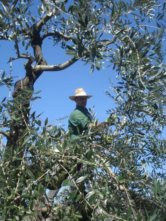 Podere Delle Fanciulle Pistoia Extérieur photo