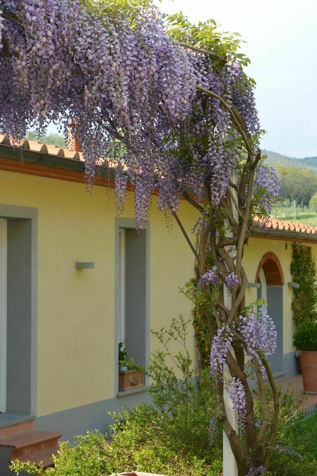 Villa Podere Delle Fanciulle à Pistoia Extérieur photo