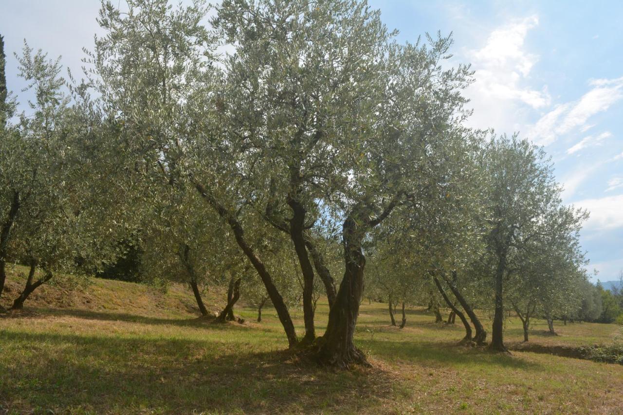 Villa Podere Delle Fanciulle à Pistoia Extérieur photo